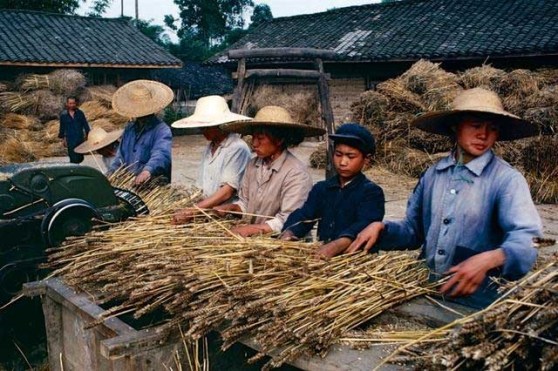 Nông dân ở Thành Đô, Trung Quốc trong những năm 1980